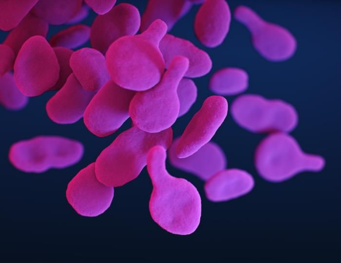 Medical illustration of the bacterium Mycoplasma genitalium